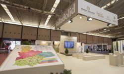 FERIAS Y CONGRESOS
