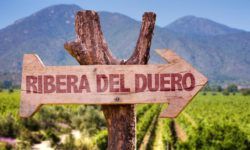 RUTAS DEL VINO